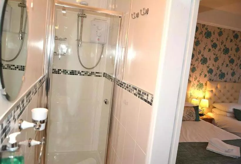 Standard Yhden Hengen Huone, Ashlea Guest House