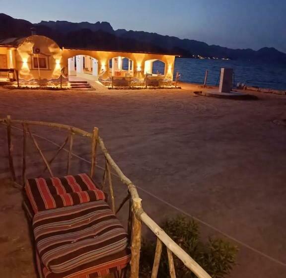 اتاق استاندارد چهار تخته, Abo Hamada Azure Camp