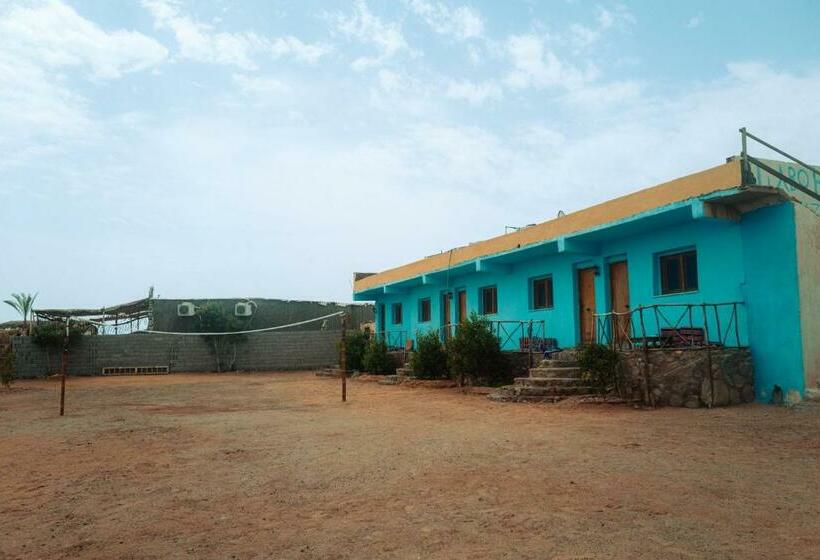 اتاق استاندارد چهار تخته, Abo Hamada Azure Camp