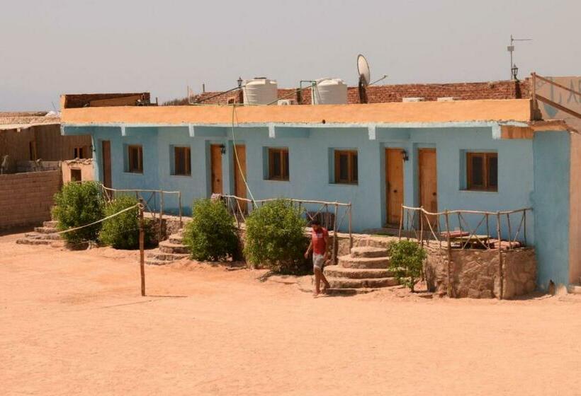 اتاق استاندارد چهار تخته, Abo Hamada Azure Camp