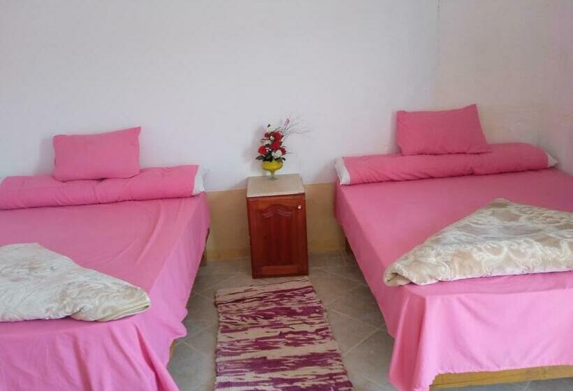 اتاق استاندارد چهار تخته, Abo Hamada Azure Camp