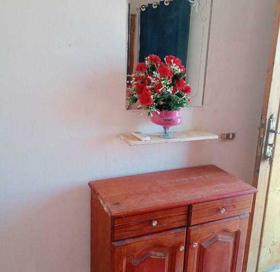 اتاق استاندارد چهار تخته, Abo Hamada Azure Camp