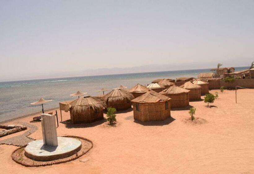 اتاق استاندارد با چشم‌انداز دریا, Abo Hamada Azure Camp