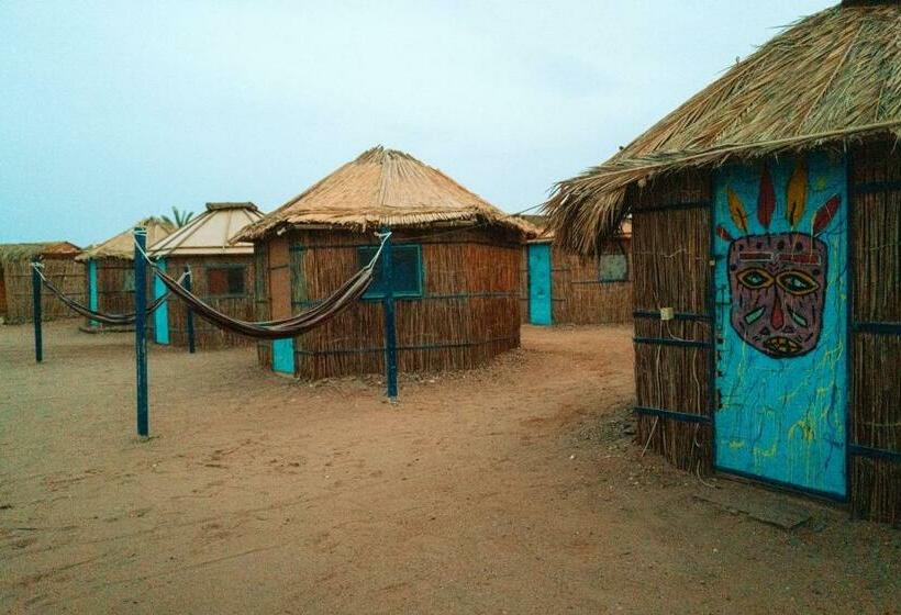 اتاق استاندارد با چشم‌انداز دریا, Abo Hamada Azure Camp