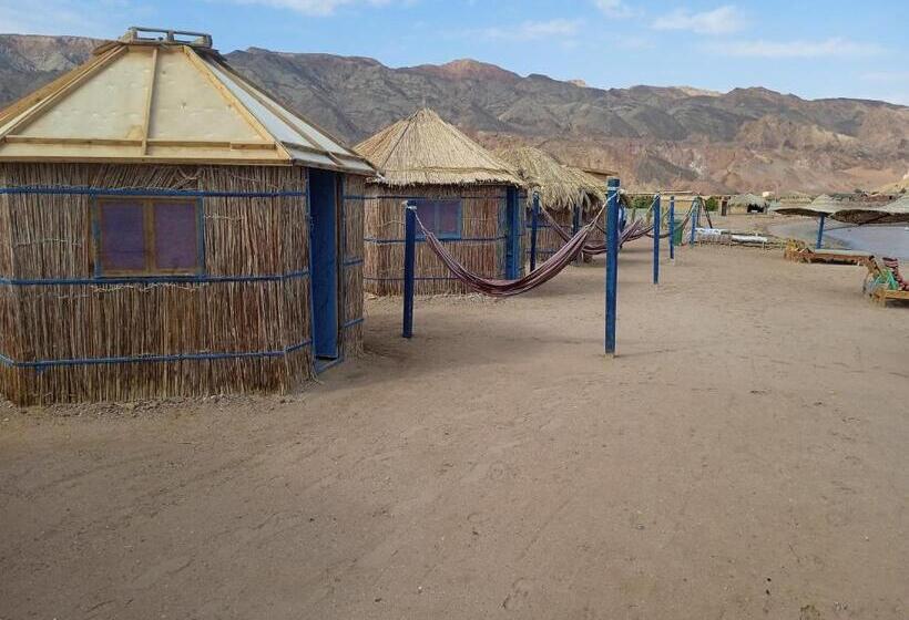 اتاق استاندارد با چشم‌انداز دریا, Abo Hamada Azure Camp