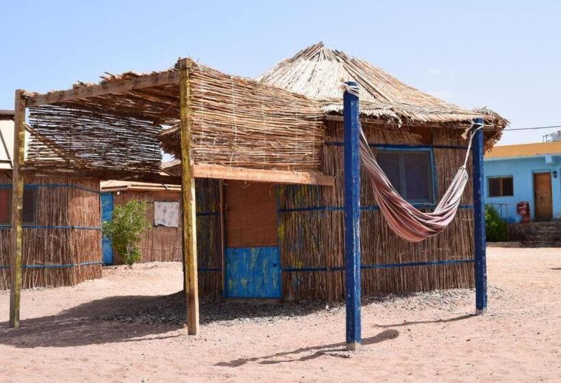 اتاق استاندارد با چشم‌انداز دریا, Abo Hamada Azure Camp