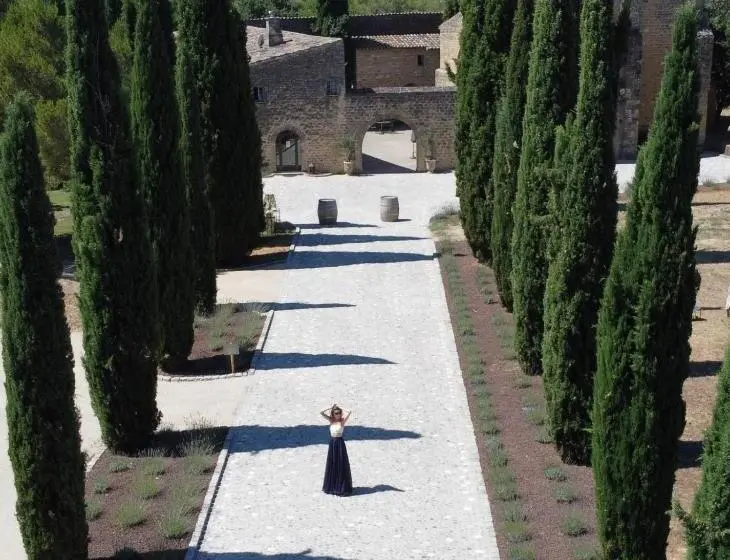 デラックスルーム, Château Saint Pierre De Mejans