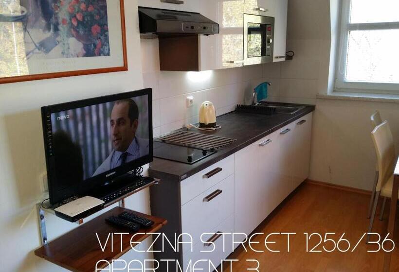 패밀리 스튜디오, Holiday Apartments Vítězná 1256/36