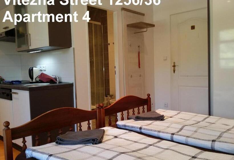스탠다드 스튜디오, Holiday Apartments Vítězná 1256/36
