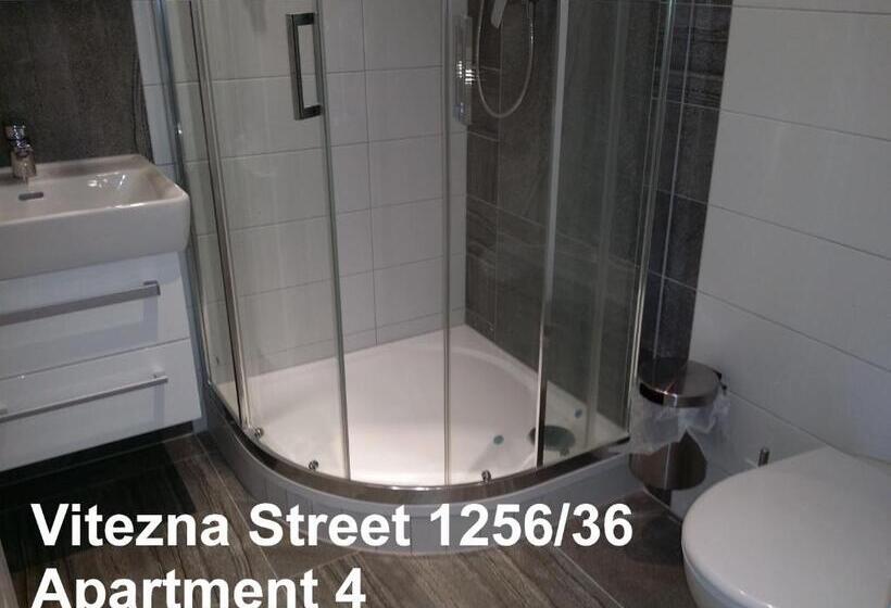 스탠다드 스튜디오, Holiday Apartments Vítězná 1256/36