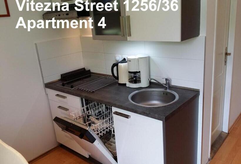 스탠다드 스튜디오, Holiday Apartments Vítězná 1256/36