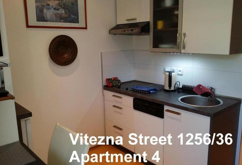스탠다드 스튜디오, Holiday Apartments Vítězná 1256/36