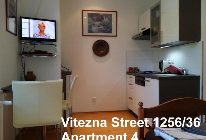 스탠다드 스튜디오, Holiday Apartments Vítězná 1256/36