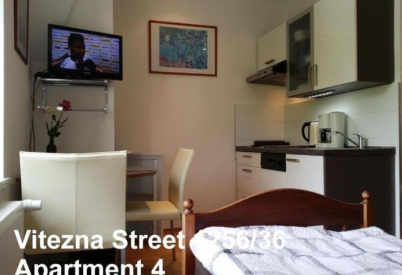 스탠다드 스튜디오, Holiday Apartments Vítězná 1256/36