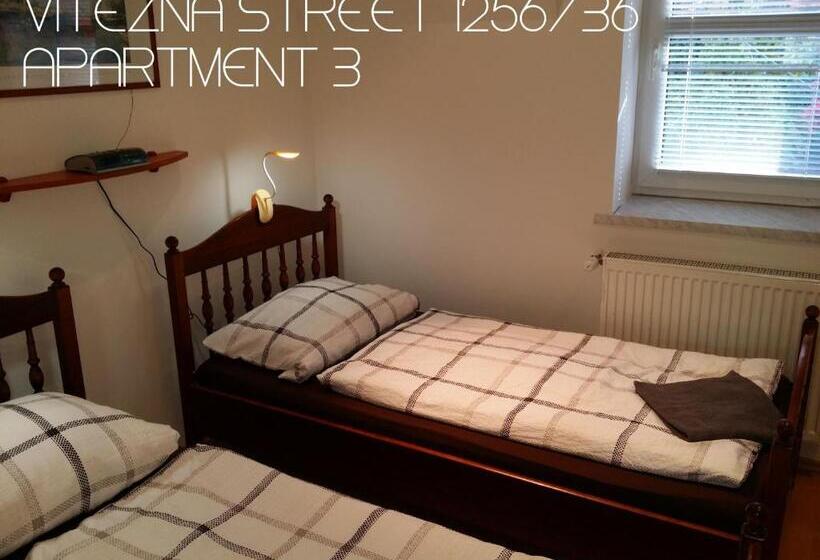 패밀리 스튜디오, Holiday Apartments Vítězná 1256/36