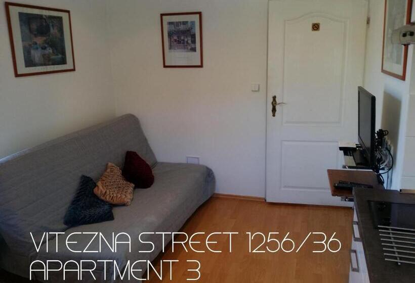 패밀리 스튜디오, Holiday Apartments Vítězná 1256/36