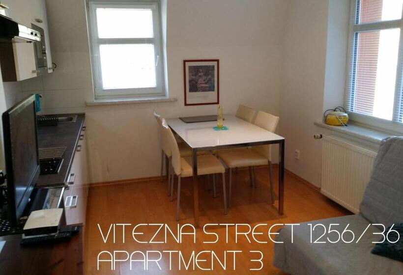 패밀리 스튜디오, Holiday Apartments Vítězná 1256/36
