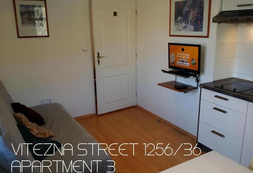 패밀리 스튜디오, Holiday Apartments Vítězná 1256/36