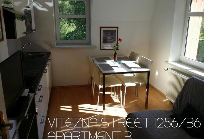 패밀리 스튜디오, Holiday Apartments Vítězná 1256/36