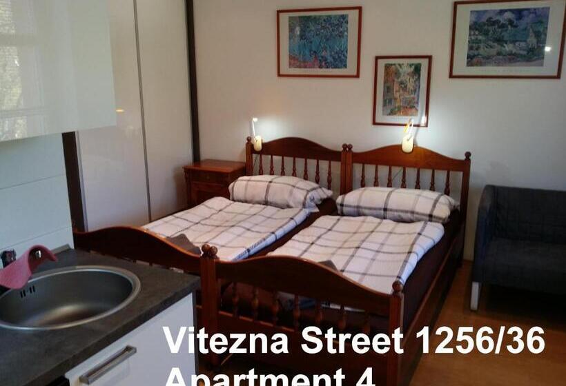 스탠다드 스튜디오, Holiday Apartments Vítězná 1256/36