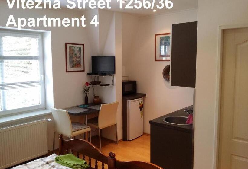 스탠다드 스튜디오, Holiday Apartments Vítězná 1256/36