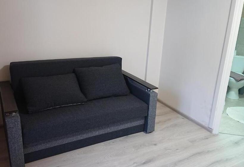 اتاق خانوادگی, любе