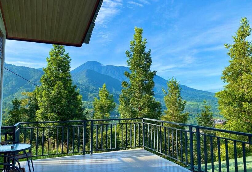 Номер Стандарт, Alinson Sunset Hill