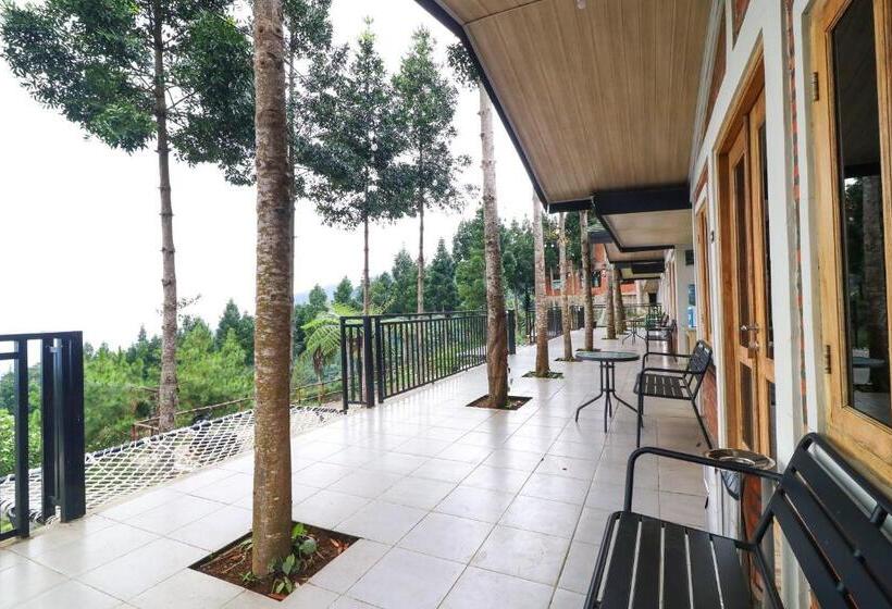 Семейный Номер, Alinson Sunset Hill