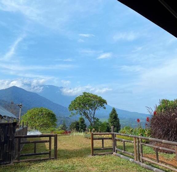 Бунгало Стандарт, Alinson Sunset Hill