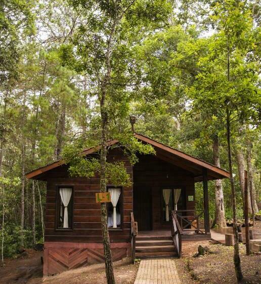 اتاق لوکس خانوادگی, Cotan Ecolodge