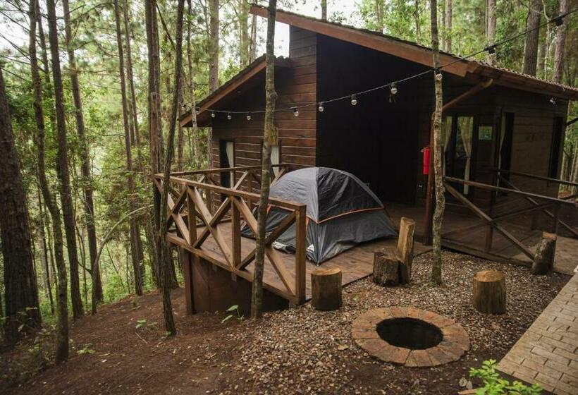 اتاق لوکس خانوادگی, Cotan Ecolodge