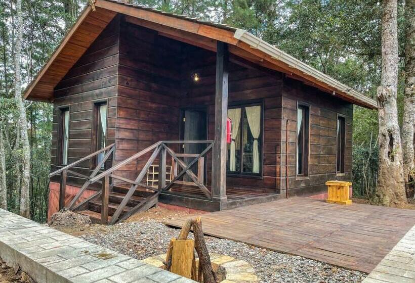 اتاق لوکس خانوادگی, Cotan Ecolodge