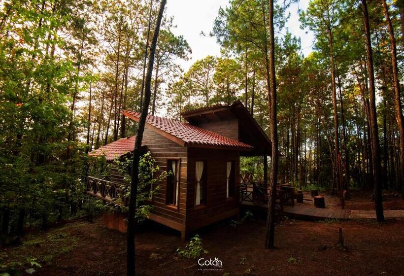 اتاق لوکس خانوادگی, Cotan Ecolodge