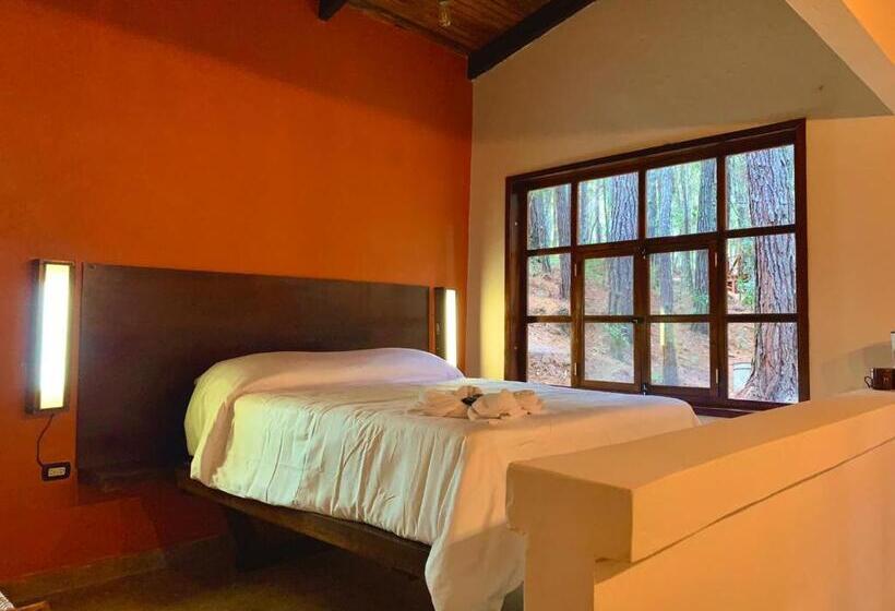 اتاق لوکس, Cotan Ecolodge