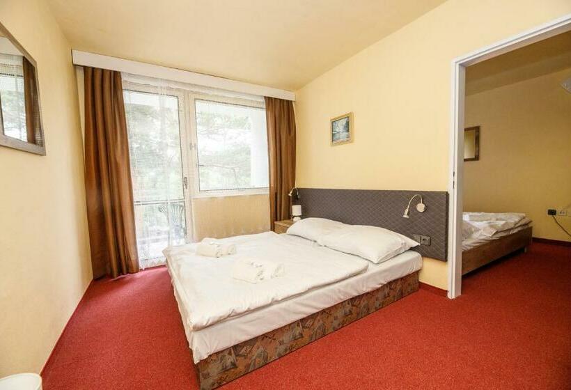 Семейный Номер, Panorama Orlík