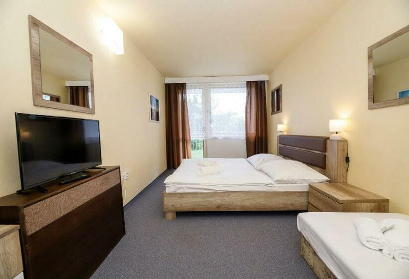 Номер Стандарт Трехместный, Panorama Orlík