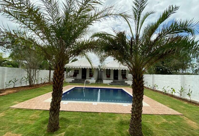 Deluxe Tent, 16 Bedouin