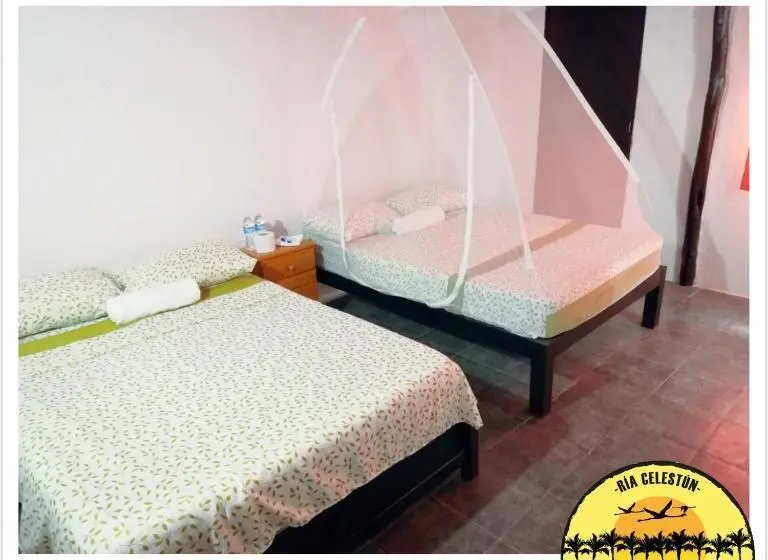 スタンダードシングルルーム, Cabañas Camping Ria Celestun