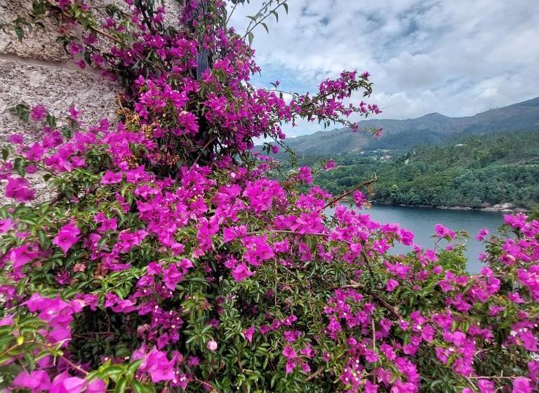 4间卧室的房子, Casa Do Penedo   Quinta De Fundevilla