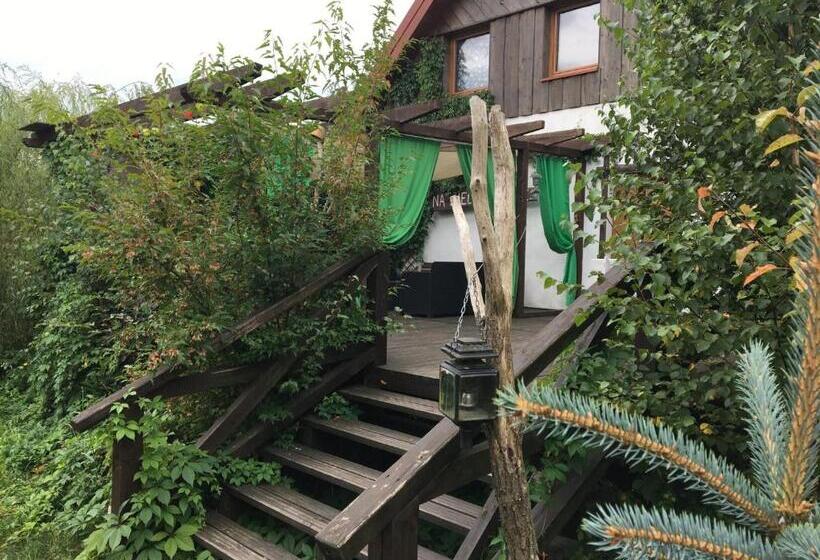 منزل غرفة نوم واحدة, Na Zielonej łące..