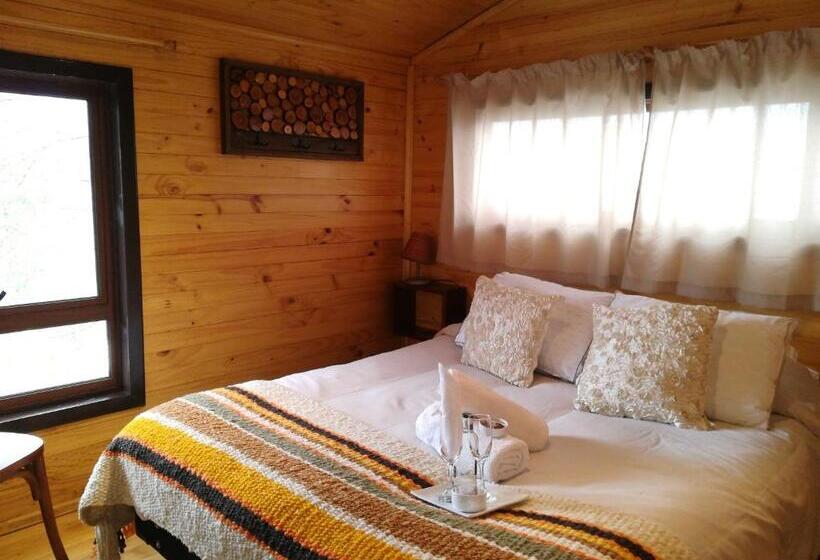 חדר בסיסי, Estación Benedicto