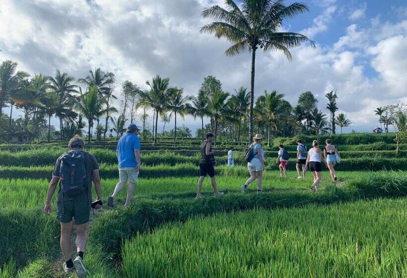 エコノミールーム, Pondok Tetebatu Cottages And Cafe