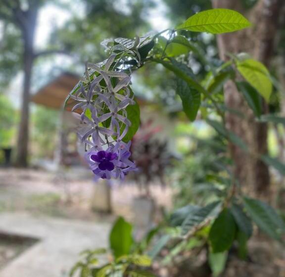חדר סטנדרט עם מרפסת, Ingtara At Lanta Resort