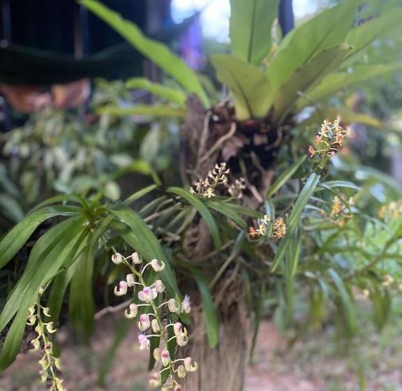 חדר סטנדרט נוף לגינה, Ingtara At Lanta Resort