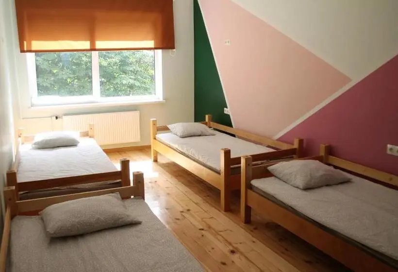 تختخواب در اتاق مشترک, Liepu Hostelis