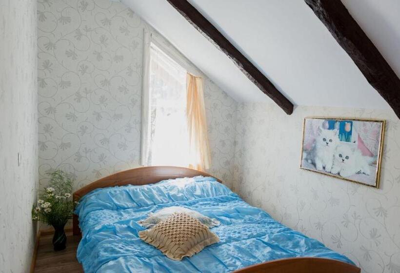 اتاق خانوادگی با سرویس بهداشتی مشترک, Villa Magonīte