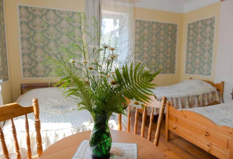 اتاق استاندارد چهارنفره با بالکن, Villa Magonīte