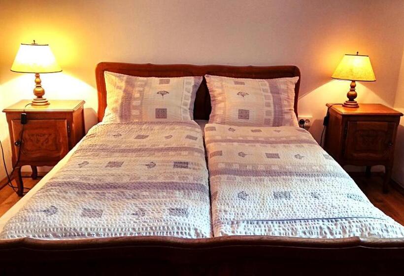 شقة غرفة واحدة, Villa Teleki