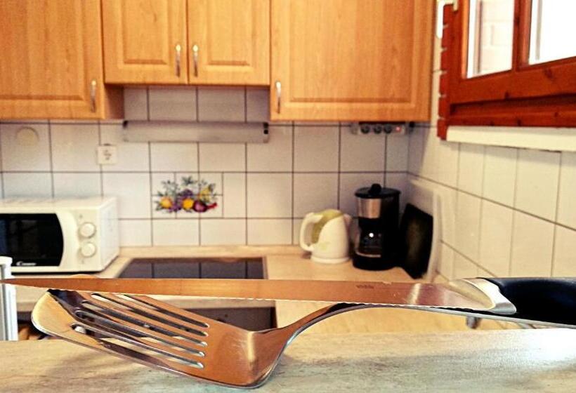 شقة سوبريور غرفة واحدة, Villa Teleki