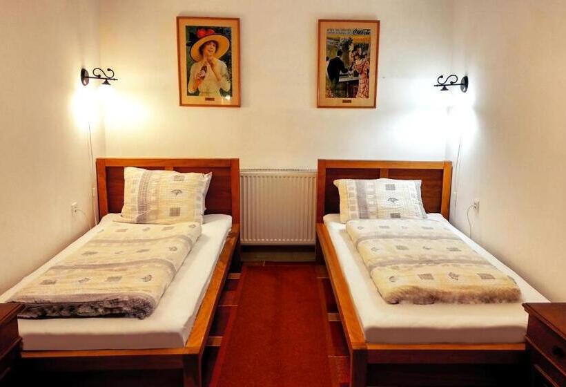 شقة سوبريور غرفة واحدة, Villa Teleki